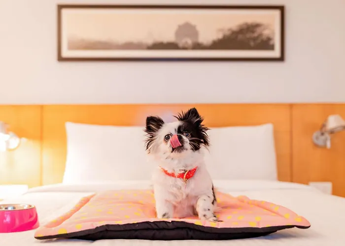 Ibis Chennai City Centre - An Accor Brand